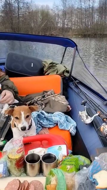 природа Липецк 2026