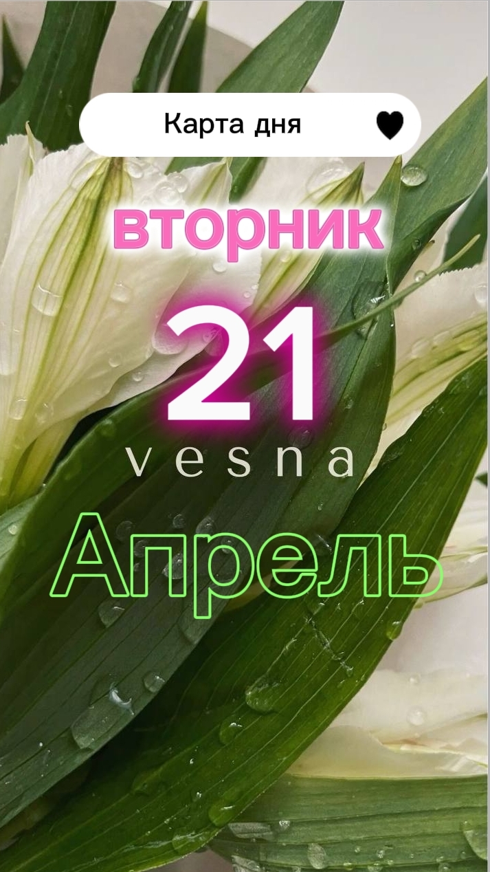 🌞Солнце🌞Карта дня на 21-04-2026. Вторник