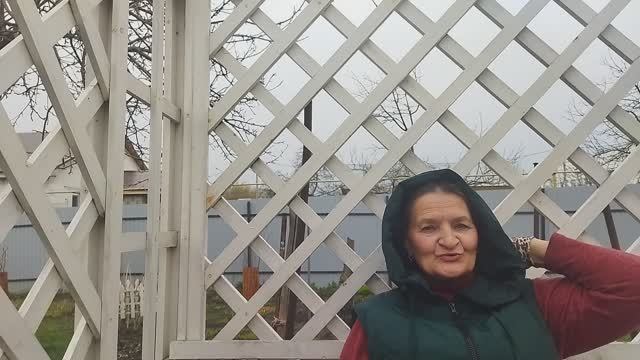 В саду они повсюду. Вечная борьба.