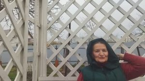 В саду они повсюду. Вечная борьба.