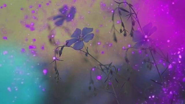 Золотые Драконы и Ангелы Света. С ДНЁМ РОЖДЕНИЯ! (20.04.2026) (66 Послание)