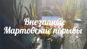 3.26 Мартовские порывы