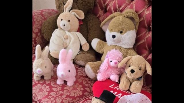 Моя маленькая стая