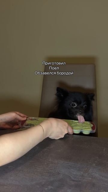 Бухтер покушал вкусно!