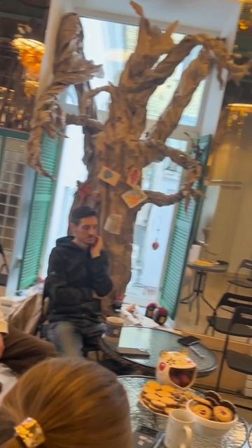 Новая жизнь образование