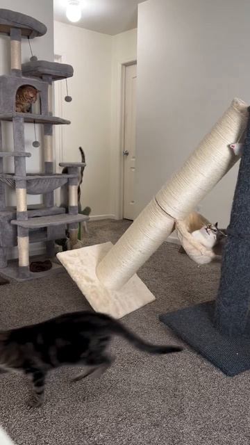 Разрушитель