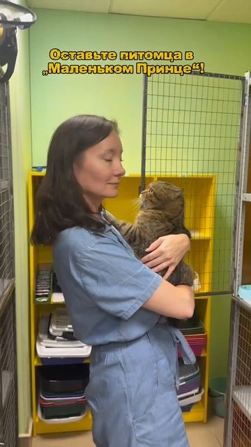 Уезжаете на майские праздники или летом?