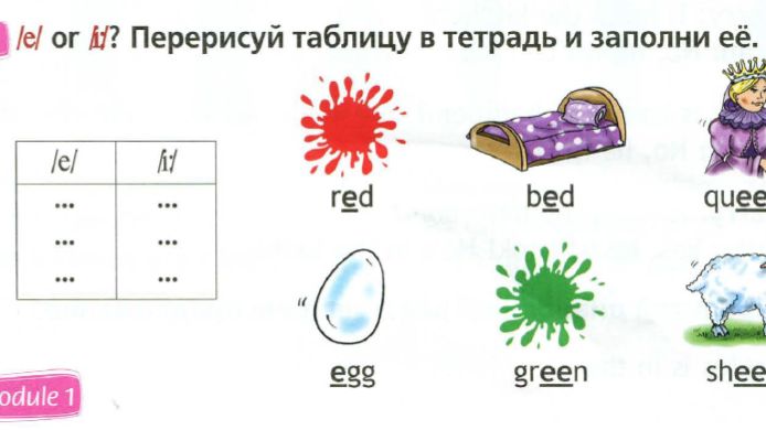 2 класс. Английский язык. (Англ. в фокусе). У нее голубые глаза!  Домашнее задание. Страница 84, 85-