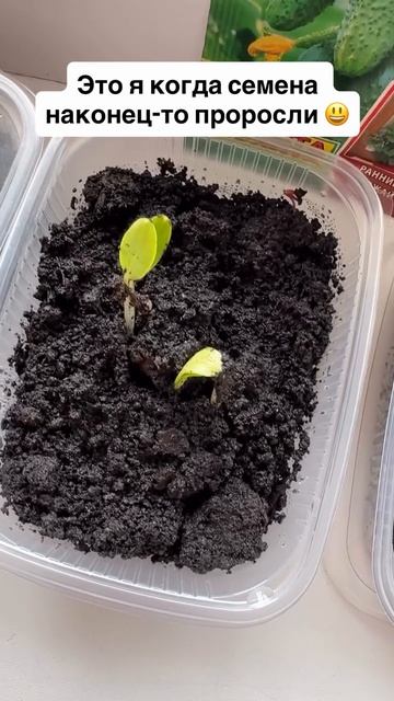 Наконец-то дождалась)))