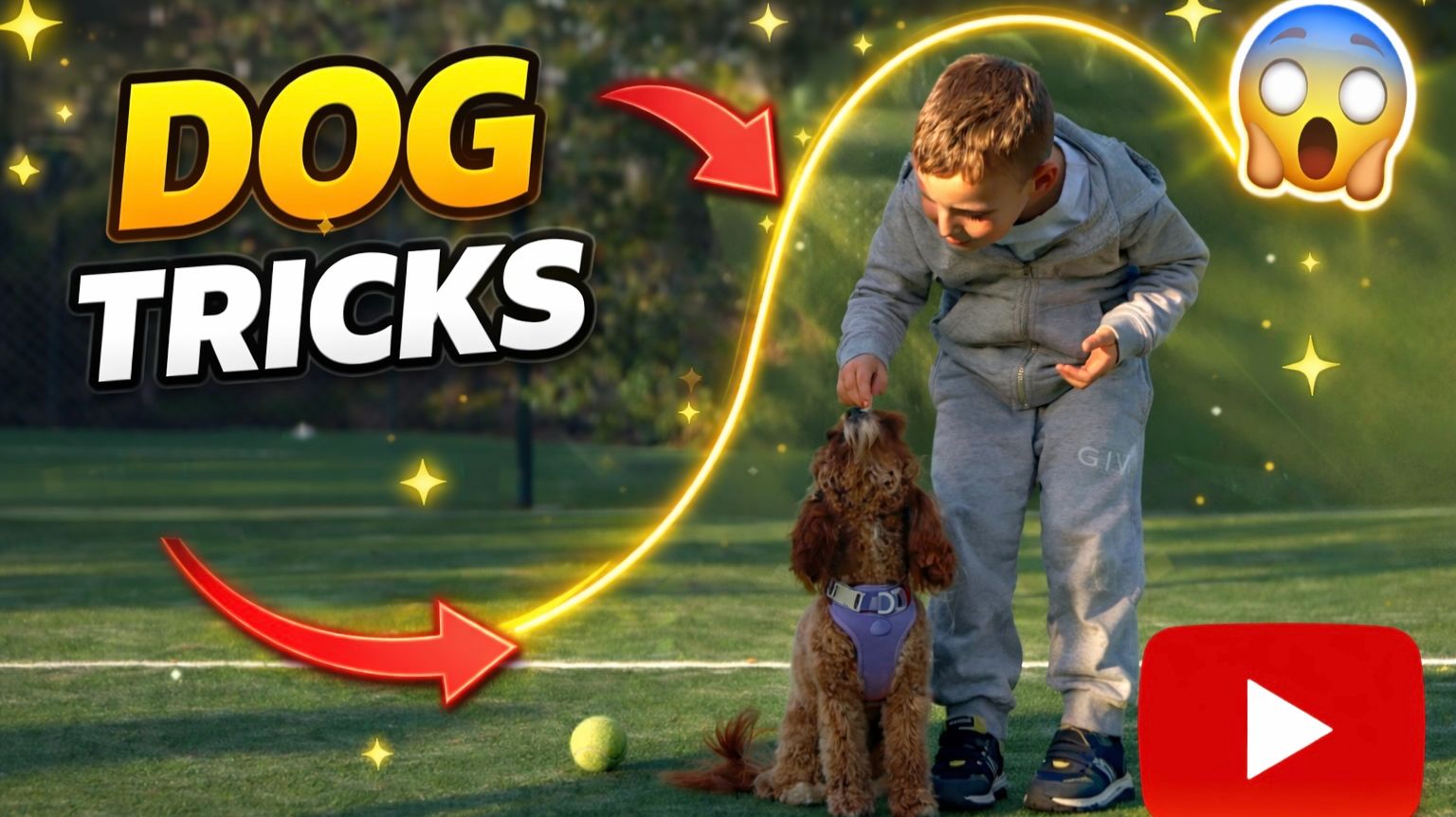 Весёлые трюки с собакой 🐾✨