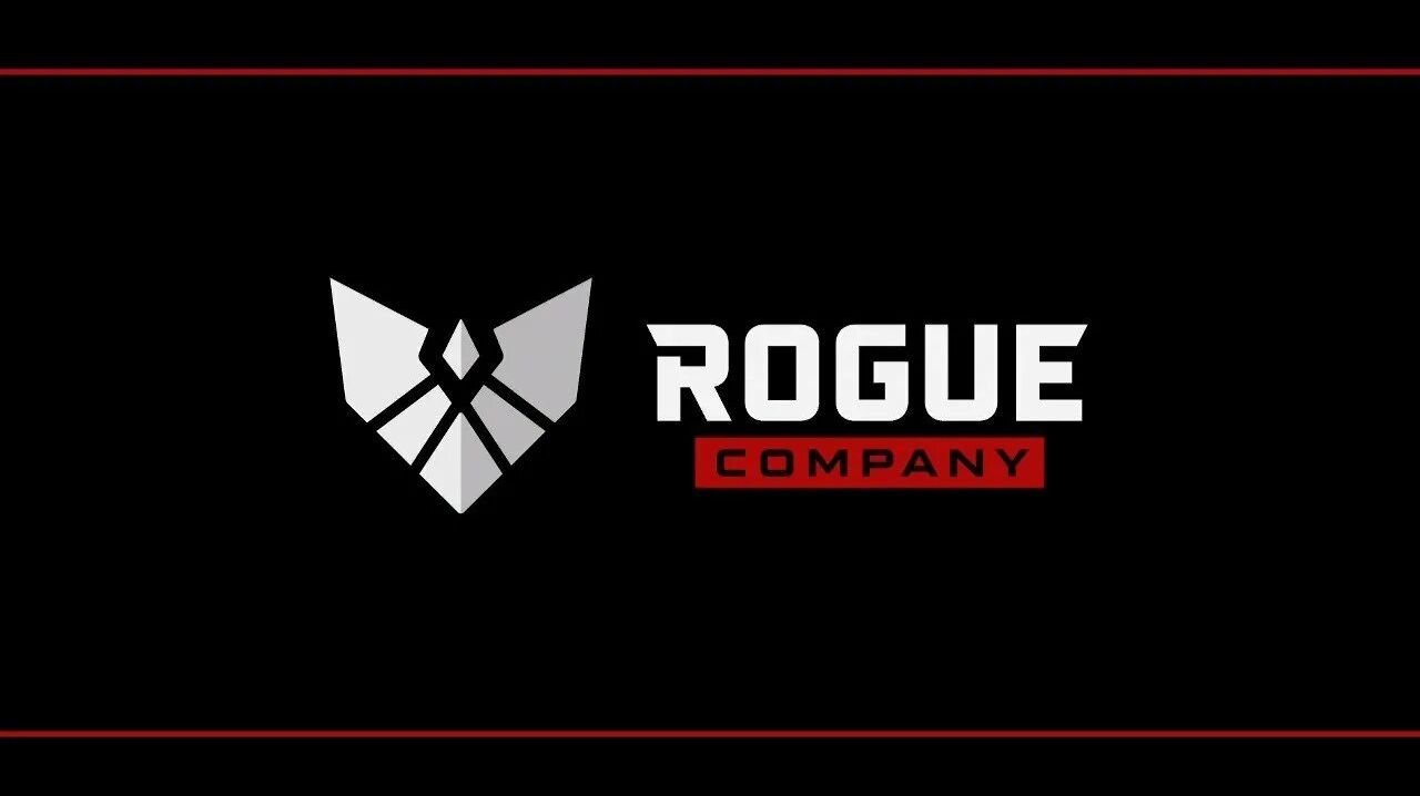играю с друном в Rogue Company