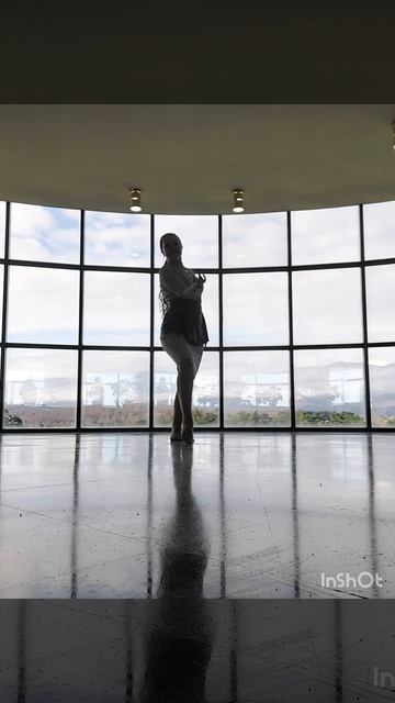 InShot_20260412_135616932.mp4