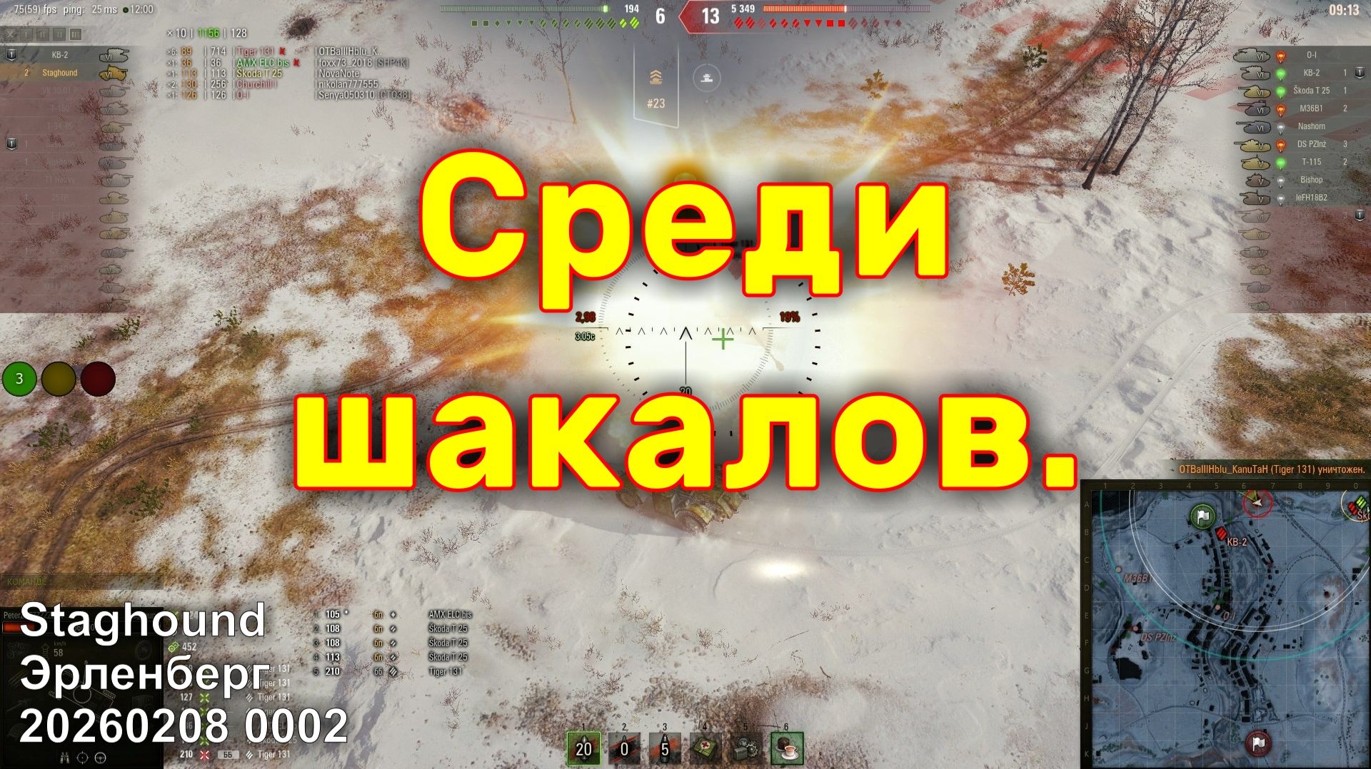 Среди шакалов. Staghound. Эрленберг. 20260208 0002.