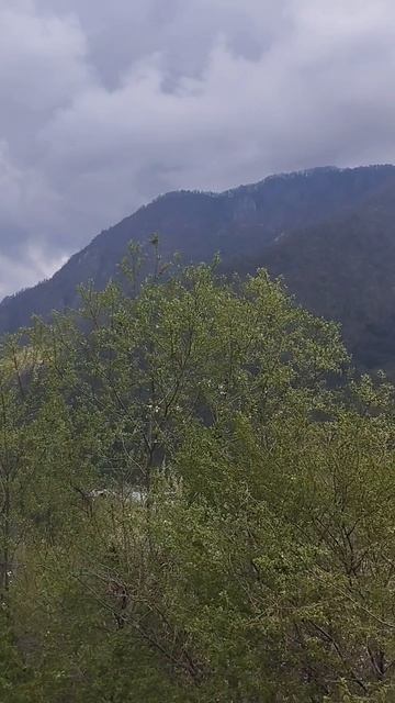 #краснаяполяна