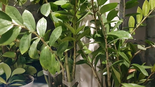 Вид с балкона