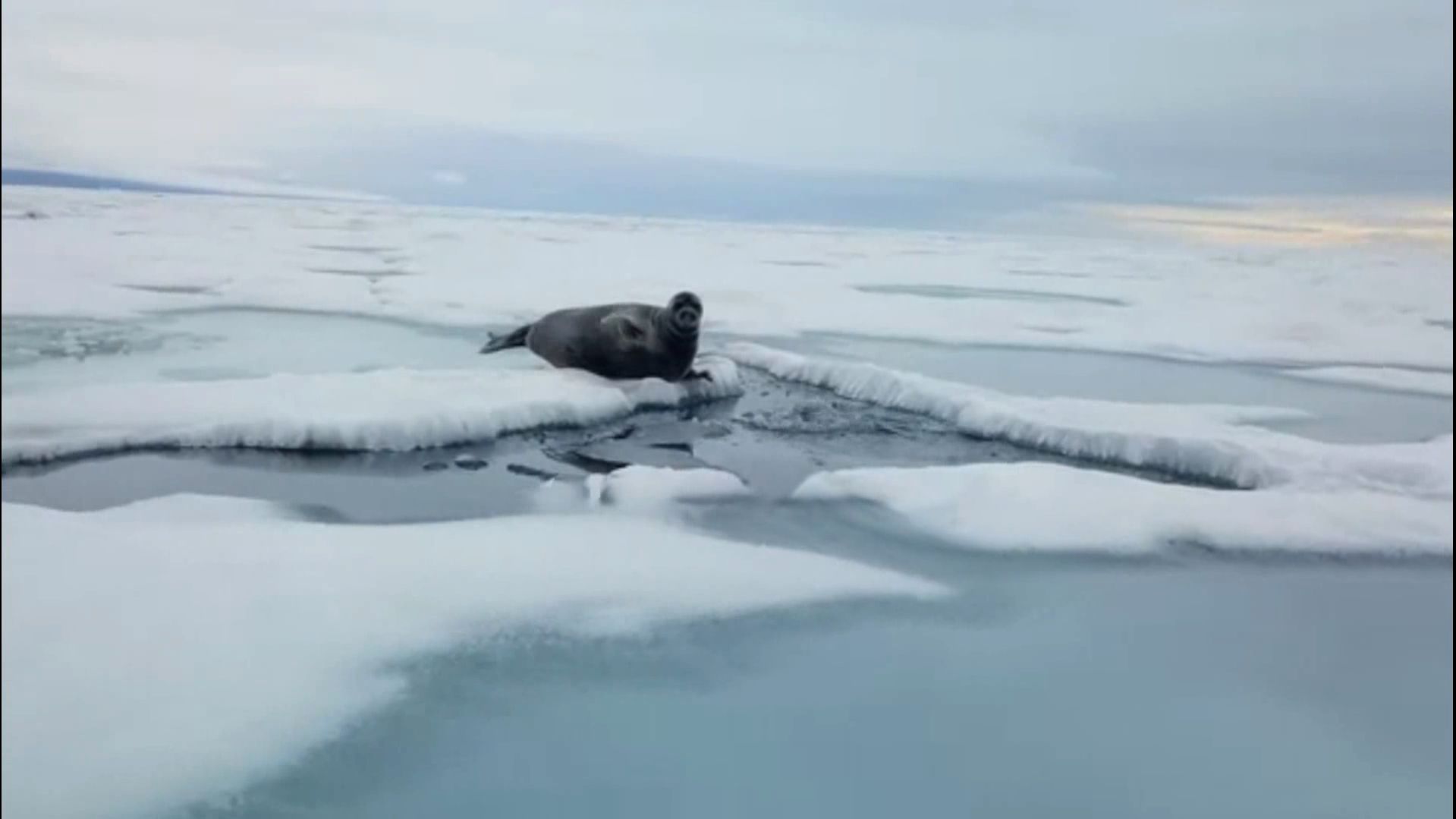 За Уходящим Льдом Байкала