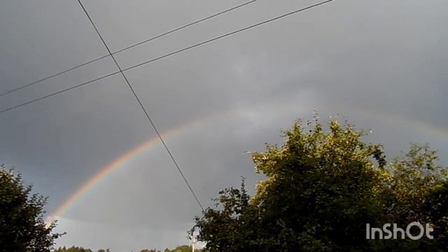 1000008024.mp4На Добше летом.