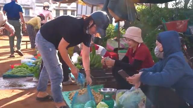 Сбор редких гроздей фруктов бонбон и доставка их на рынок для продажи