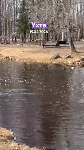 #Ухта …парк КиО…Республика Коми…19.04.2026