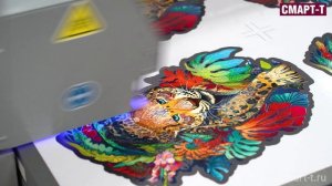 Sprinter TC-F2132, печать на пленке  с глянцевым и матовым лаком