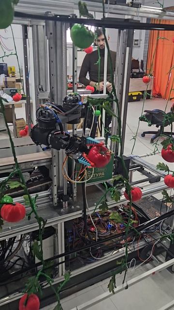 Тест полного цикла №4 робота для сбора томатов в тепличных кмоплексах