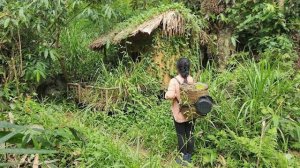 Навожу порядок в заброшенном доме куда меня приютили. Жизнь во Вьетнаме