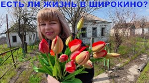 ЕСТЬ ЛИ ЖИЗНЬ В ШИРОКИНО? - РЕАЛЬНАЯ ОБСТАНОВКА - СКОРО ГРАНДИОЗНОЕ ОТКРЫТИЕ В МАРИУПОЛЕ