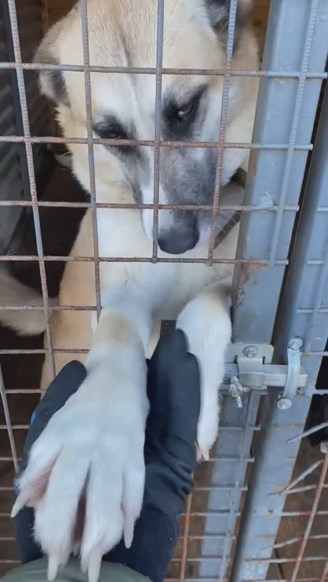 Жужа 💔  Такая красивая девчонка