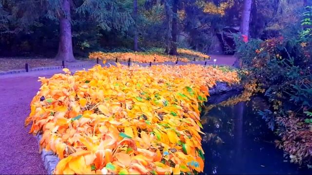 Глаза в глаза стихи и музыка - Виктор Михнев + SUNO