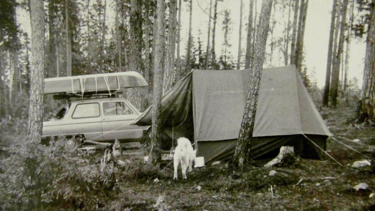 Немного о рыбалке.  Просто воспоминание. 20.04.26.
