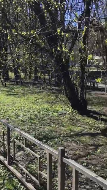 Санкт-Петербург Весенний.  20.04.2026. Проспект Энгельса. Эпизод 3