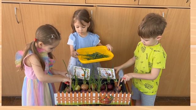 Огород на подоконнике