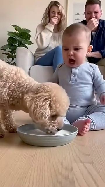 Непослушный Песик