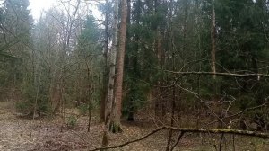 Как перестать бояться начать дp@кy