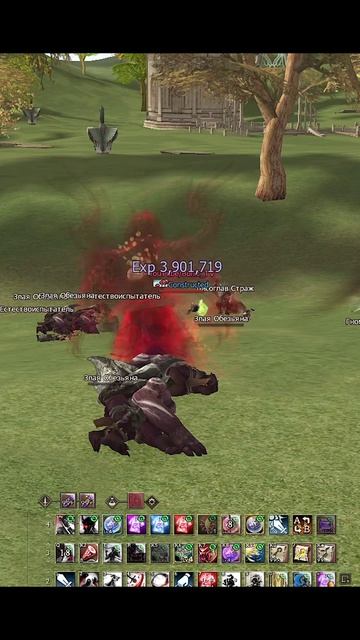 Макросы на Самурая в #lineage2 #л2 #l2 #la2 #ла2 #линейдж #ланейдж