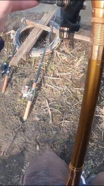 Рыбалка на карася на донки