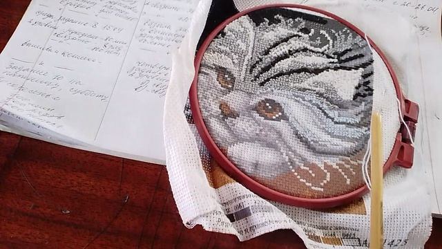 отчет на вторую половину недели марафона 