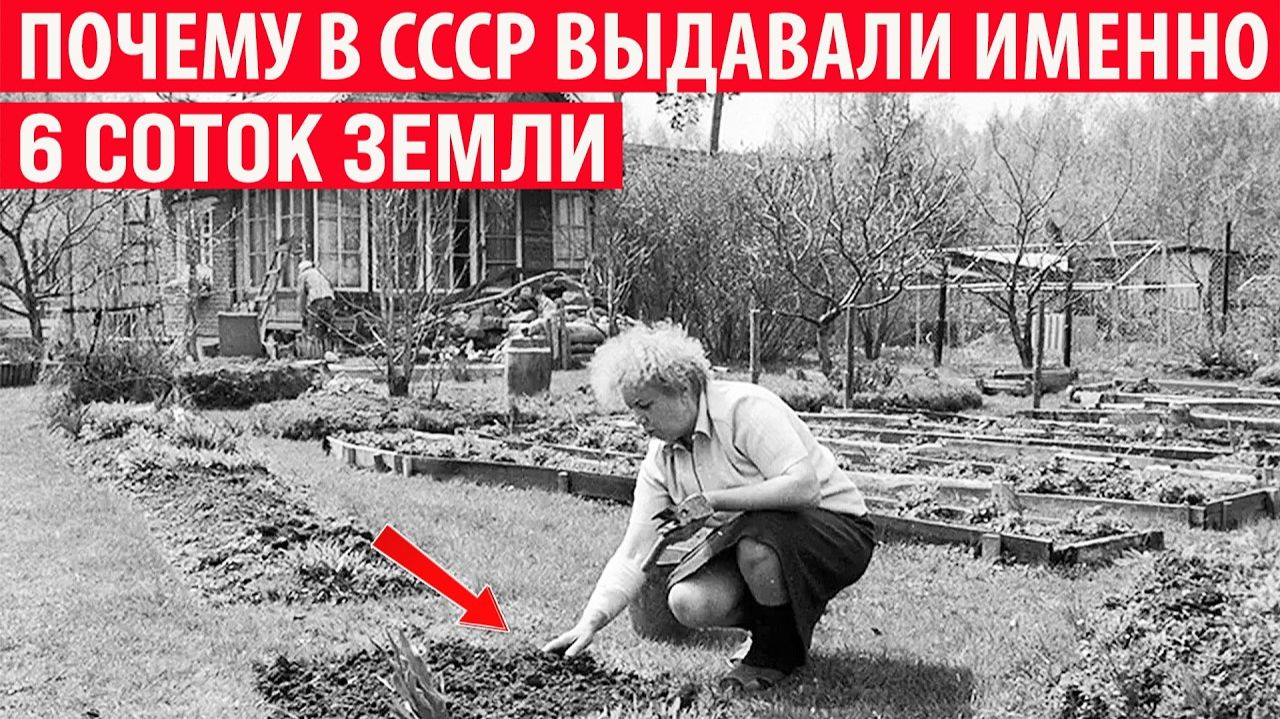 Почему в СССР выдавали именно 6 соток земли