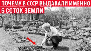 Почему в СССР выдавали именно 6 соток земли