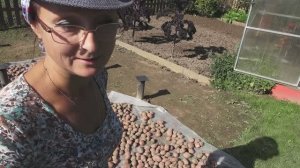 6 соток 28 августа 2021 года. Хроника