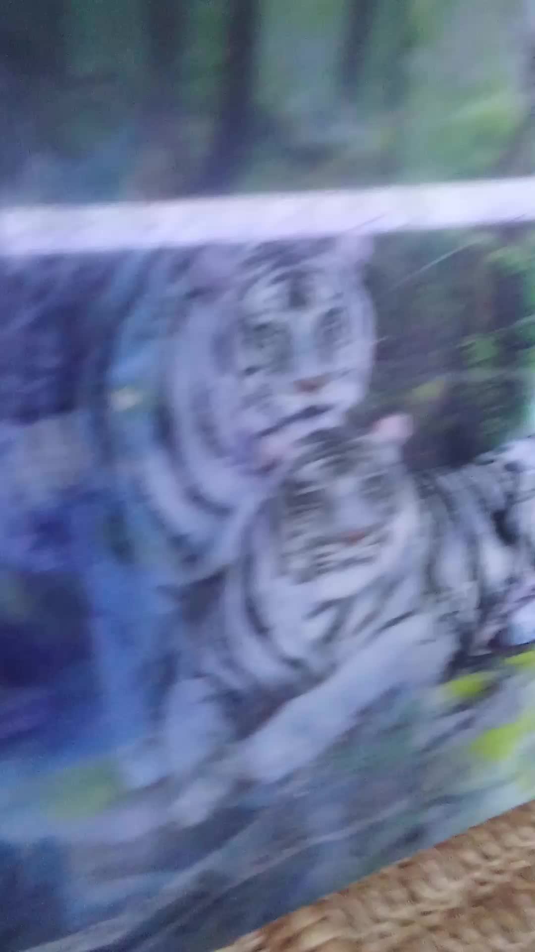 трансляция по маркам авто