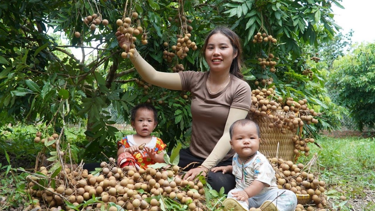 Мама поневоле. Дуонг. Собрала очень сладкие лонганы и принесла их на рынок продавать. Серия 127