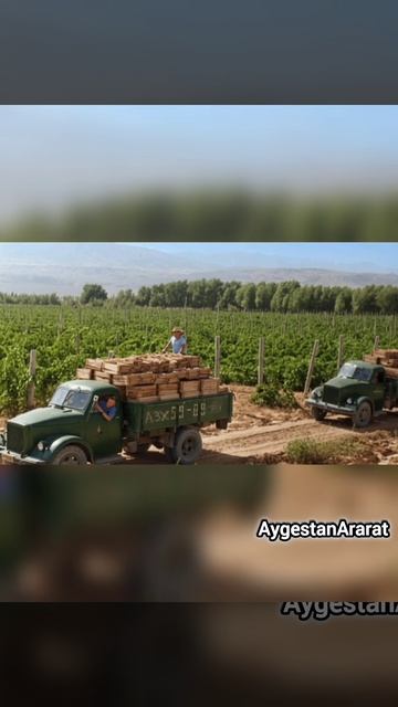 Воспоминания о Чайлу (вино). чит. Рафаэль Айвазян