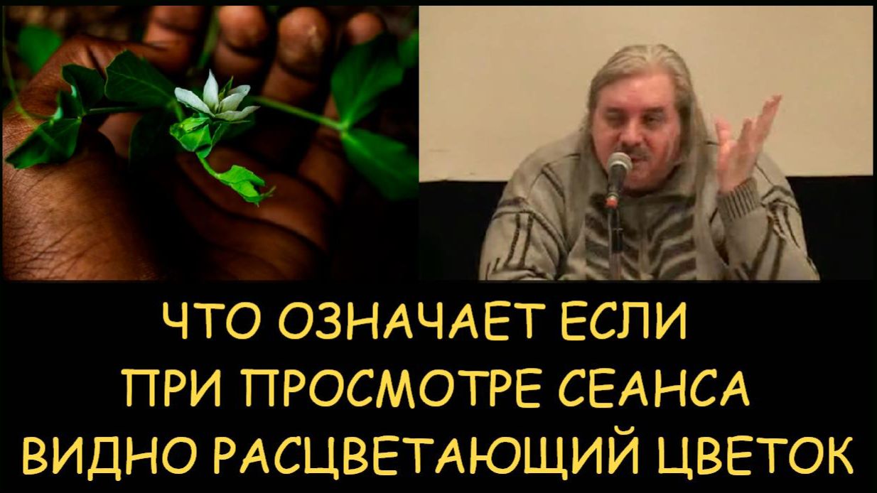 ✅ Н.Левашов. Что означает если при просмотре сеанса Левашова возникает ощущение распускания цветов