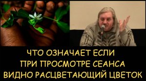 ✅ Н.Левашов. Что означает если при просмотре сеанса Левашова возникает ощущение распускания цветов