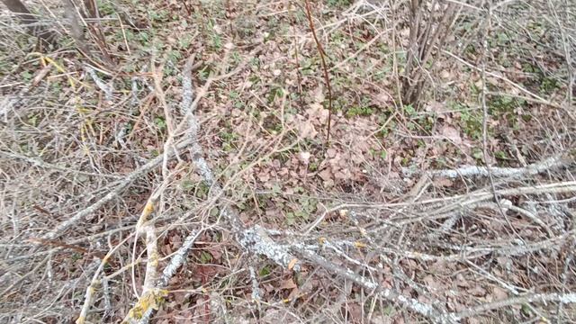 КОНФЛИКТ С СОСЕДЯМИ