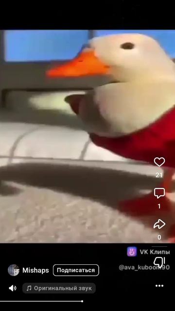 сила гусей💪🪿