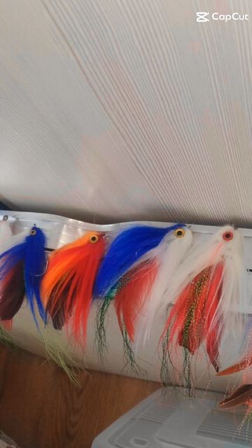 ПРИНИМАЮ ЗАКАЗЫ НА ПРИМАНКИ