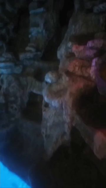 Бассейны. Что нам стоит бассейн построить