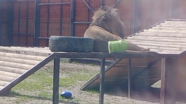 QIIQ6665 Видео от Ивана 20.04.2026